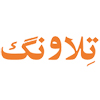 مشتری راهکاران (19)