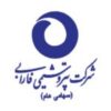 مشتری راهکاران (4)
